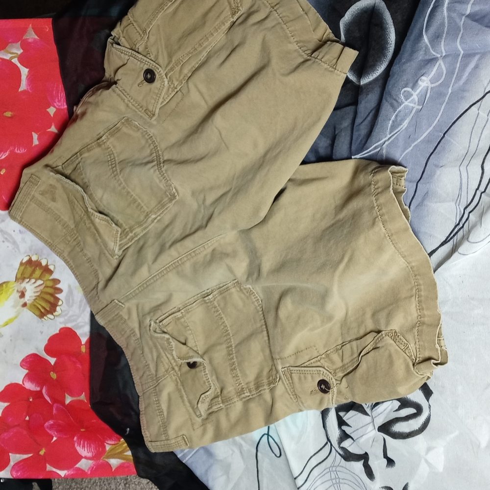 Mens Sz. 34 American Eagle Cargo Shorts